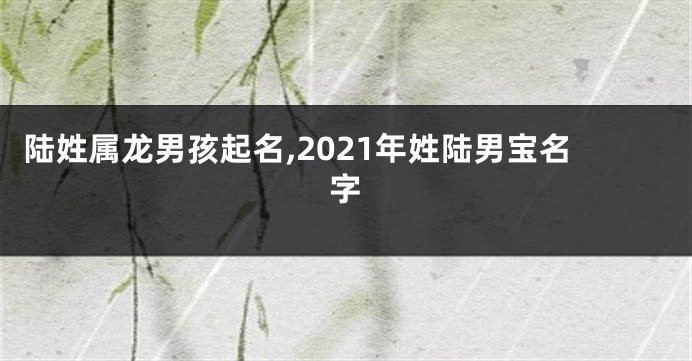 陆姓属龙男孩起名,2021年姓陆男宝名字