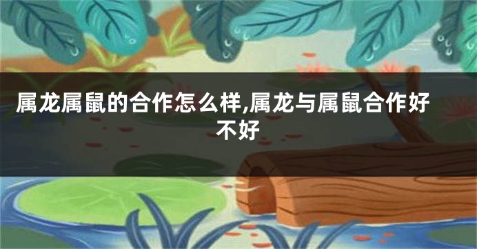 属龙属鼠的合作怎么样,属龙与属鼠合作好不好