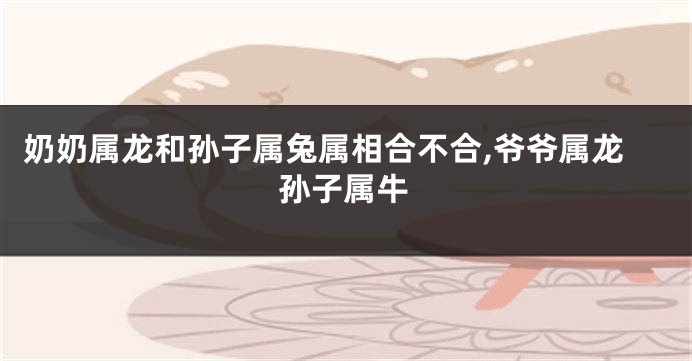 奶奶属龙和孙子属兔属相合不合,爷爷属龙孙子属牛