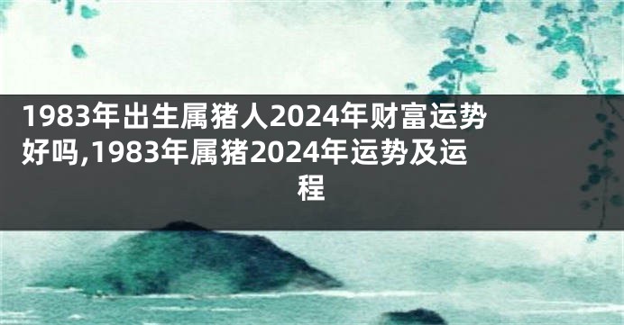 1983年出生属猪人2024年财富运势好吗,1983年属猪2024年运势及运程