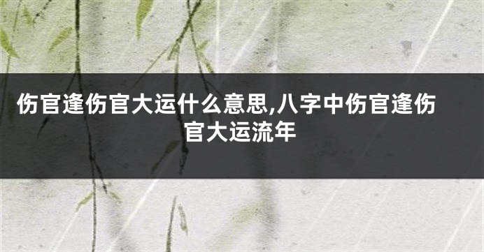 伤官逢伤官大运什么意思,八字中伤官逢伤官大运流年
