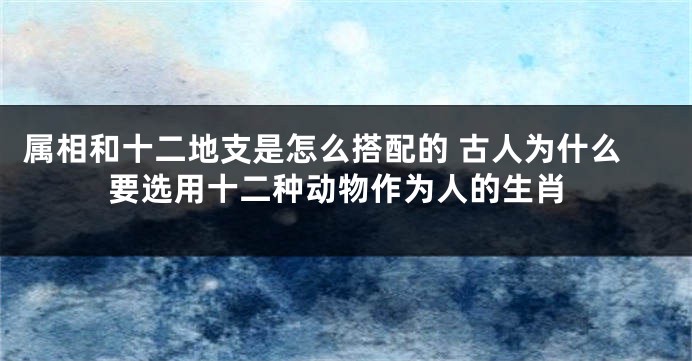 属相和十二地支是怎么搭配的 古人为什么要选用十二种动物作为人的生肖