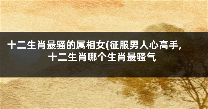 十二生肖最骚的属相女(征服男人心高手,十二生肖哪个生肖最骚气