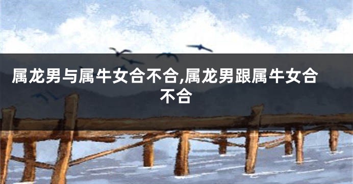 属龙男与属牛女合不合,属龙男跟属牛女合不合