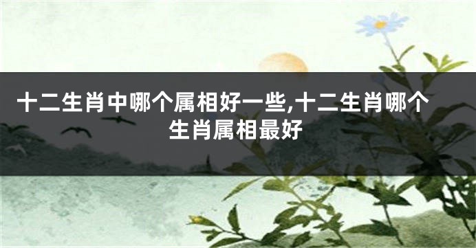 十二生肖中哪个属相好一些,十二生肖哪个生肖属相最好