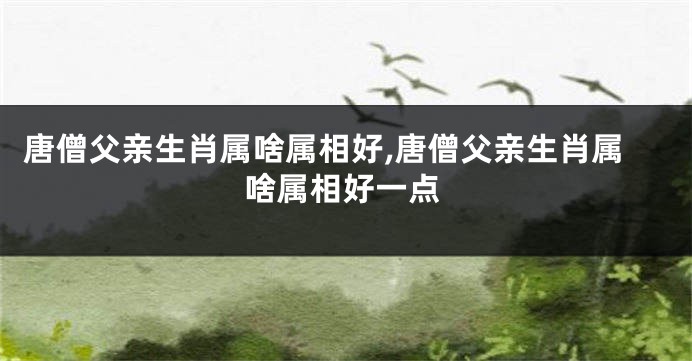 唐僧父亲生肖属啥属相好,唐僧父亲生肖属啥属相好一点