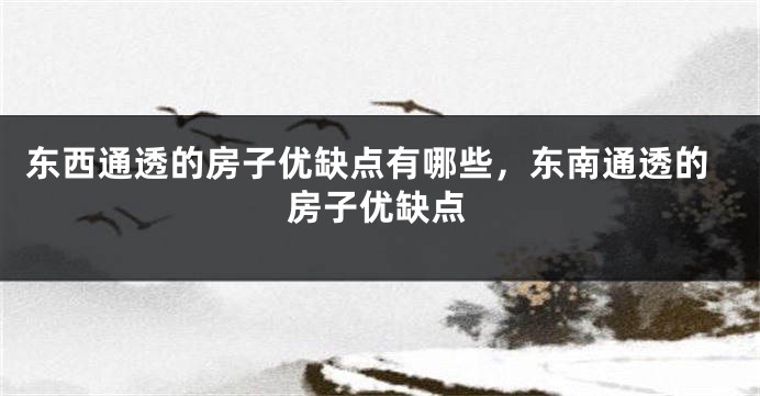 东西通透的房子优缺点有哪些，东南通透的房子优缺点