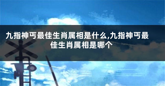 九指神丐最佳生肖属相是什么,九指神丐最佳生肖属相是哪个
