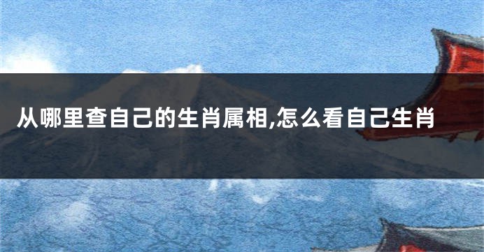 从哪里查自己的生肖属相,怎么看自己生肖