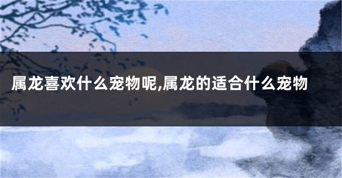 属龙喜欢什么宠物呢,属龙的适合什么宠物