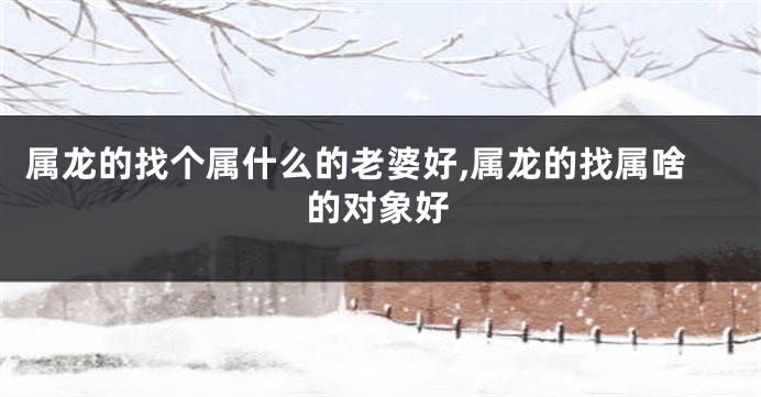 属龙的找个属什么的老婆好,属龙的找属啥的对象好