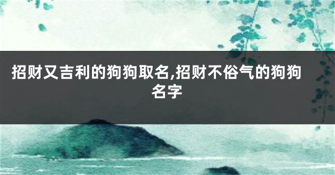 招财又吉利的狗狗取名,招财不俗气的狗狗名字
