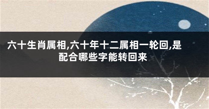 六十生肖属相,六十年十二属相一轮回,是配合哪些字能转回来