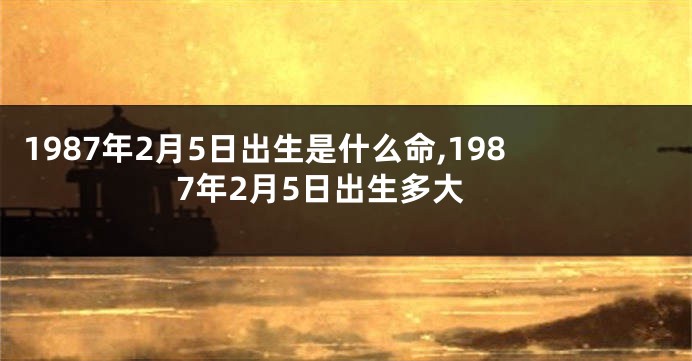 1987年2月5日出生是什么命,1987年2月5日出生多大