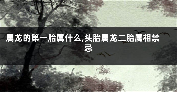 属龙的第一胎属什么,头胎属龙二胎属相禁忌