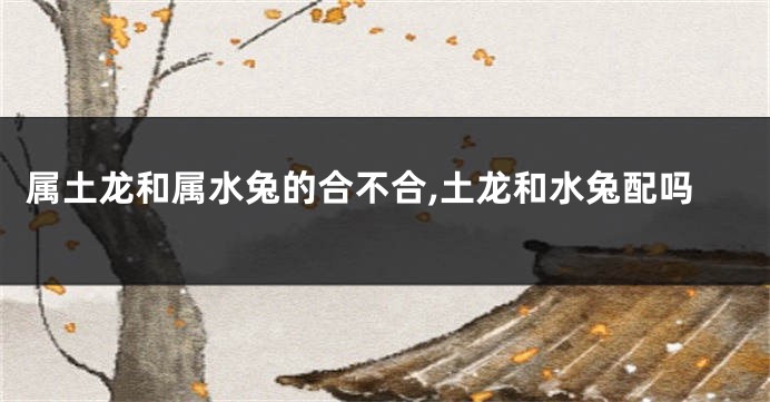 属土龙和属水兔的合不合,土龙和水兔配吗