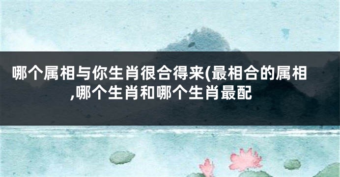 哪个属相与你生肖很合得来(最相合的属相,哪个生肖和哪个生肖最配