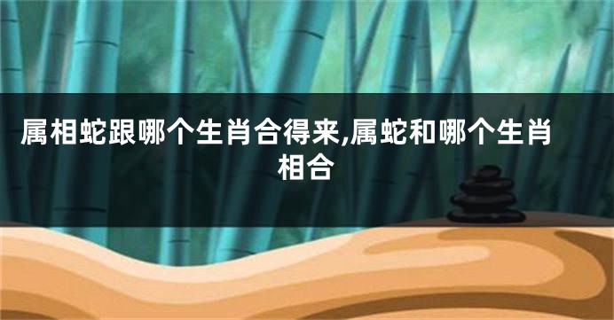 属相蛇跟哪个生肖合得来,属蛇和哪个生肖相合