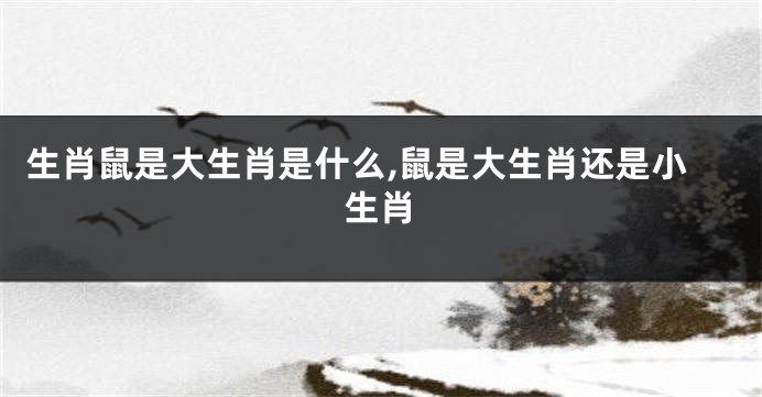 生肖鼠是大生肖是什么,鼠是大生肖还是小生肖