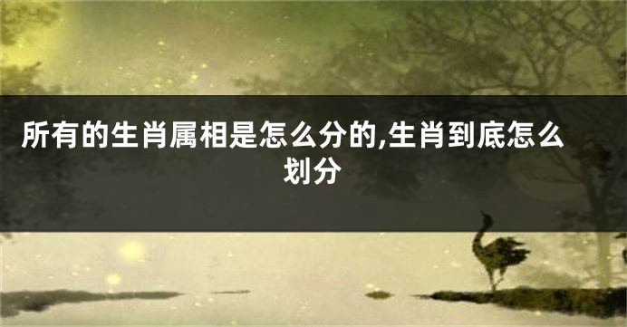 所有的生肖属相是怎么分的,生肖到底怎么划分