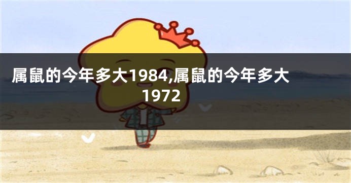 属鼠的今年多大1984,属鼠的今年多大1972
