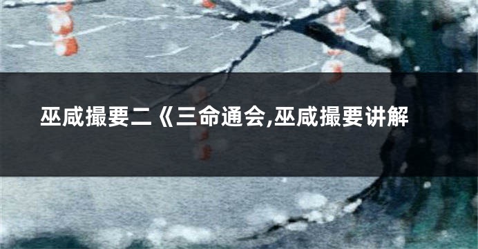 巫咸撮要二《三命通会,巫咸撮要讲解