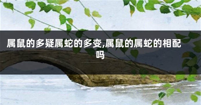 属鼠的多疑属蛇的多变,属鼠的属蛇的相配吗