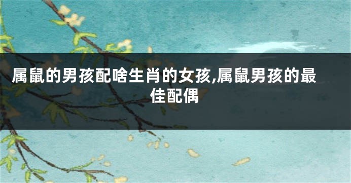 属鼠的男孩配啥生肖的女孩,属鼠男孩的最佳配偶