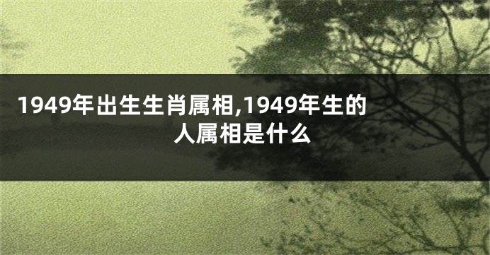 1949年出生生肖属相,1949年生的人属相是什么