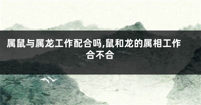 属鼠与属龙工作配合吗,鼠和龙的属相工作合不合