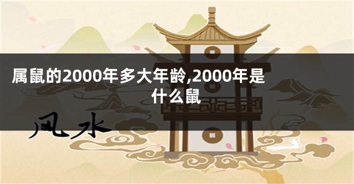 属鼠的2000年多大年龄,2000年是什么鼠