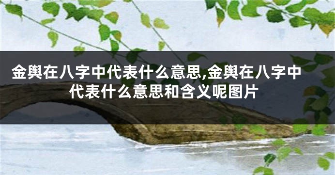 金舆在八字中代表什么意思,金舆在八字中代表什么意思和含义呢图片