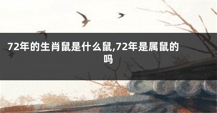 72年的生肖鼠是什么鼠,72年是属鼠的吗