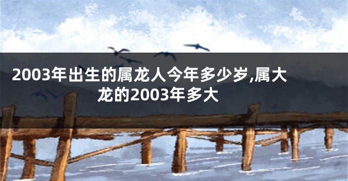 2003年出生的属龙人今年多少岁,属大龙的2003年多大