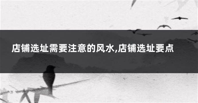 店铺选址需要注意的风水,店铺选址要点