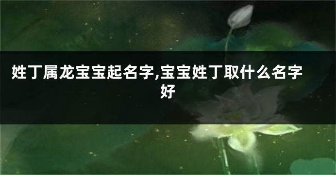 姓丁属龙宝宝起名字,宝宝姓丁取什么名字好