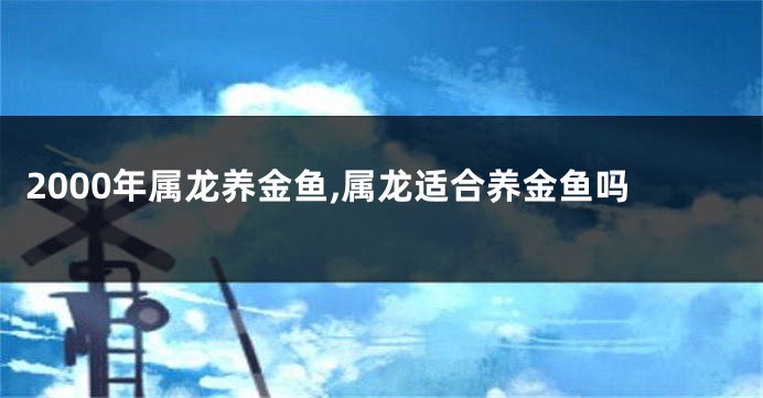 2000年属龙养金鱼,属龙适合养金鱼吗