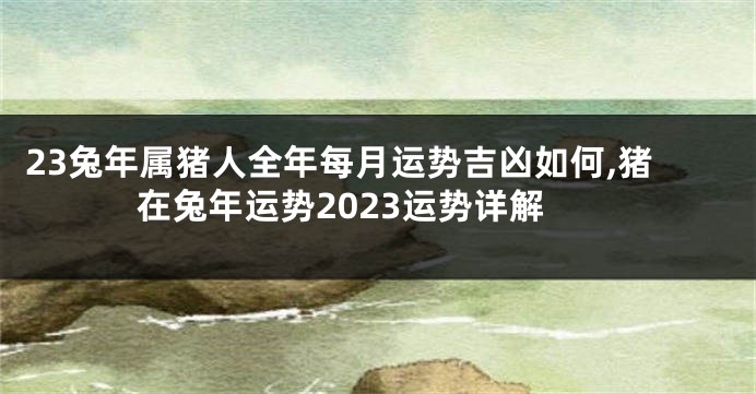 23兔年属猪人全年每月运势吉凶如何,猪在兔年运势2023运势详解