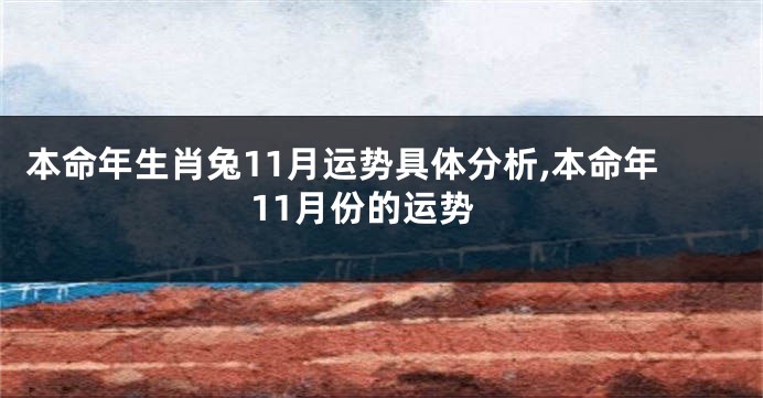 本命年生肖兔11月运势具体分析,本命年11月份的运势