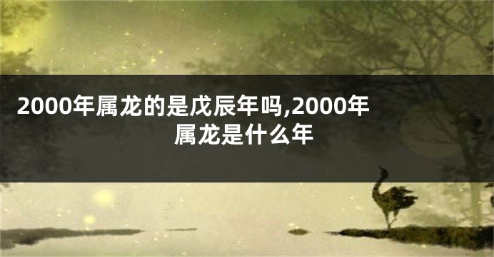2000年属龙的是戊辰年吗,2000年属龙是什么年