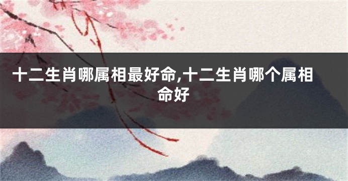十二生肖哪属相最好命,十二生肖哪个属相命好