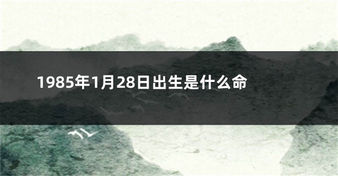 1985年1月28日出生是什么命