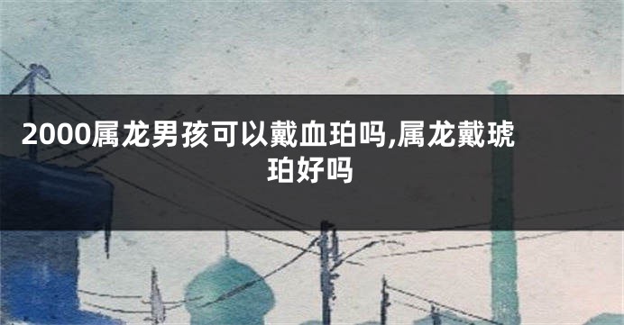 2000属龙男孩可以戴血珀吗,属龙戴琥珀好吗