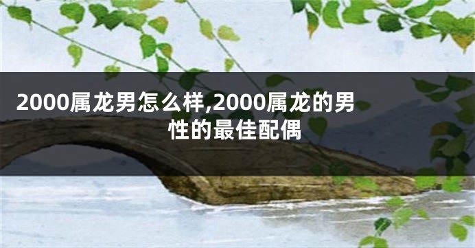 2000属龙男怎么样,2000属龙的男性的最佳配偶