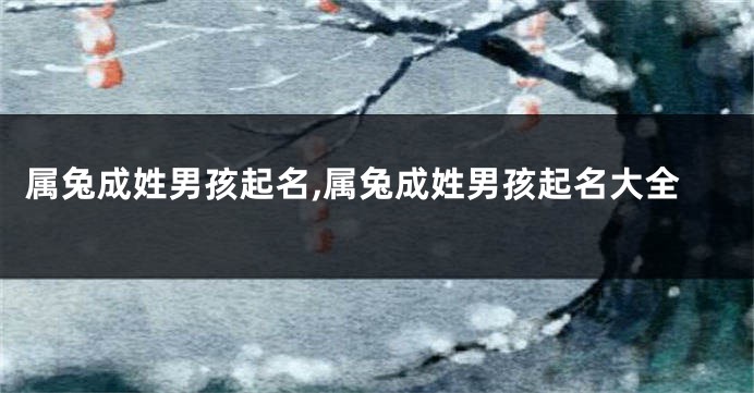 属兔成姓男孩起名,属兔成姓男孩起名大全