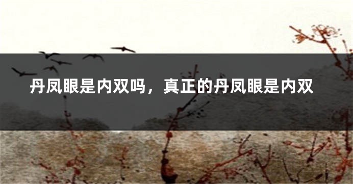 丹凤眼是内双吗，真正的丹凤眼是内双