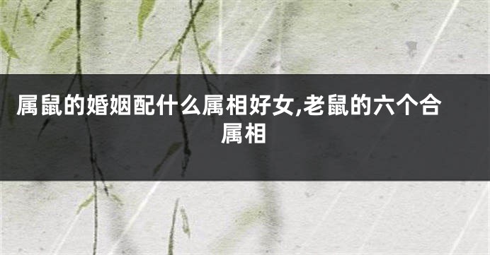 属鼠的婚姻配什么属相好女,老鼠的六个合属相