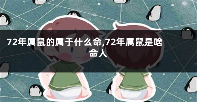 72年属鼠的属于什么命,72年属鼠是啥命人