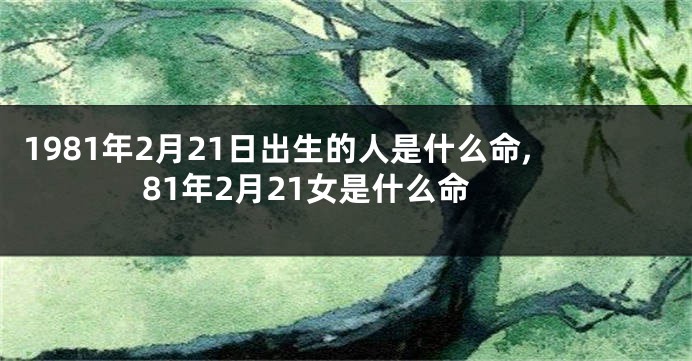 1981年2月21日出生的人是什么命,81年2月21女是什么命