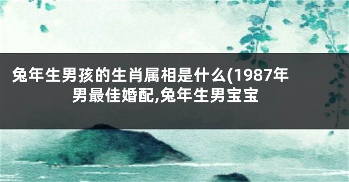 兔年生男孩的生肖属相是什么(1987年男最佳婚配,兔年生男宝宝